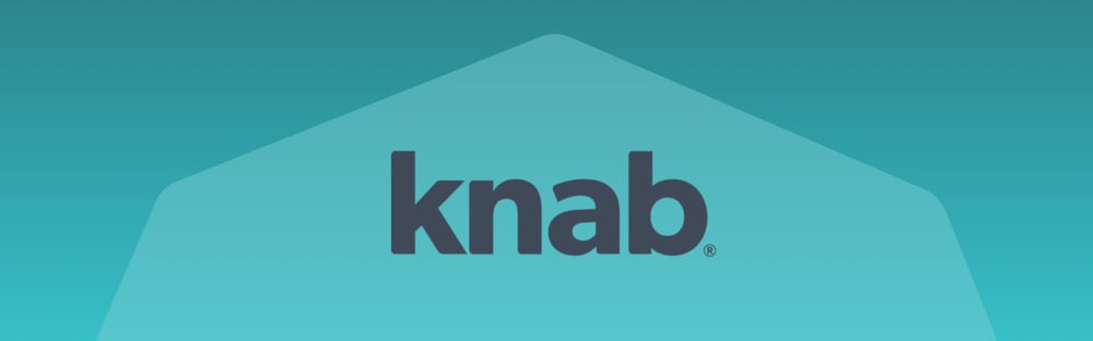 Inzicht in geldzaken: direct in de Knab-app
